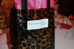 KindnessGala_2015_070