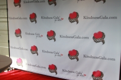 KindnessGala_2015_079