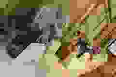 387121079_10233184768900747_8761723770280820357_n